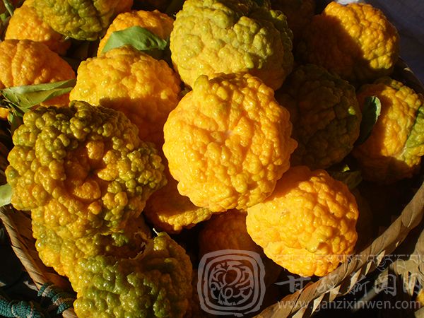 西部太陽谷 得榮原生態(tài)美食